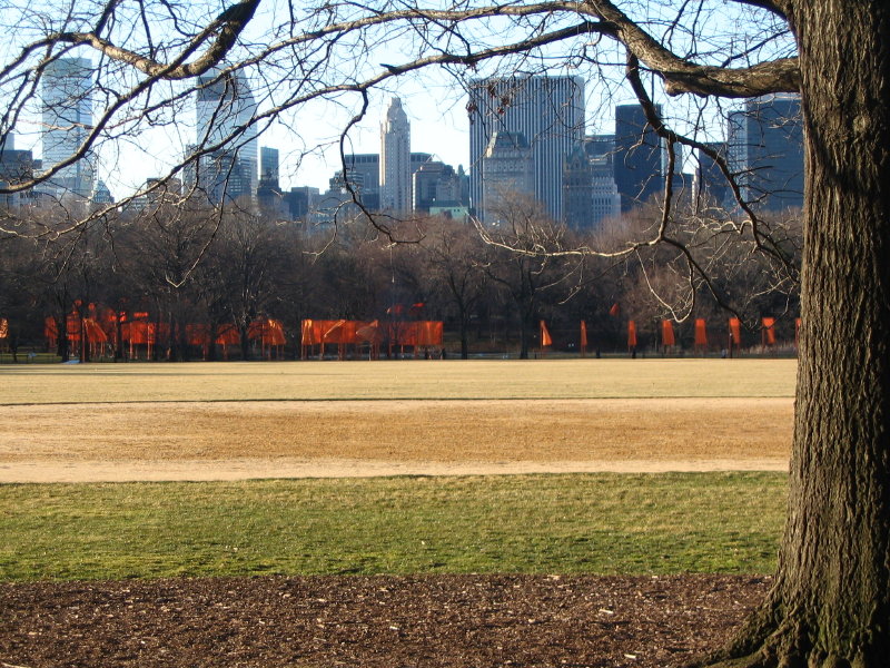 29 Midtown View From Great Lawn